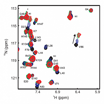 NMR-Titrationsexperiment