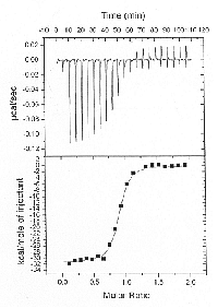 <p align="justify"> ITC-Messung des Kälteschockproteins CspB mit Heptatymidin, welches hoch affin (K<sub>d</sub> = 7 nM) und exotherm (ΔH = - 31 kcal/mol) unter starker Abnahme der Entropie (ΔS = - 72 cal/(mol*K)) bindet. </p>