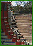 Videografie