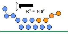 Logo Polymerphysik