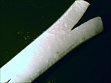 Natriumborosilicatsystem, Sol-Gel-Verfahren, gesintert bei 800 °C