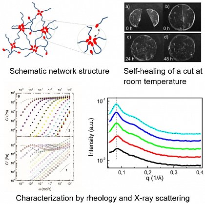 https://www.nature.com/articles/srep32356