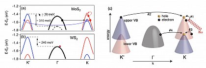 (left) sketch of the valence band structure of 2D MoS2 (a) and 2D WS2 (b, c) for spin-up (red), spin-down (blue) and spin-degenerated states (black). While in MoS2 the band alignments allow for a various amount of
electronic scattering mediated by phonons, it is almost forbidden by phase-space requirements in WS2. This leads to a smaller lifetime-broadening and a heavily reduced electronic carrier relaxation once the spin-
dependent valleys are occupied.