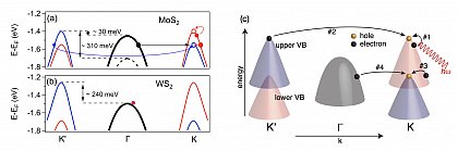 (left) sketch of the valence band structure of 2D MoS2 (a) and 2D WS2 (b, c) for spin-up (red), spin-down (blue) and spin-degenerated states (black). While in MoS2 the band alignments allow for a various amount of 

electronic scattering mediated by phonons, it is almost forbidden by phase-space requirements in WS2. This leads to a smaller lifetime-broadening and a heavily reduced electronic carrier relaxation once the spin-

dependent valleys are occupied.