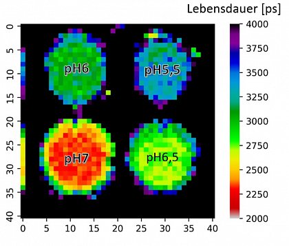 Zeitaufgelste Fluoreszenztomographie