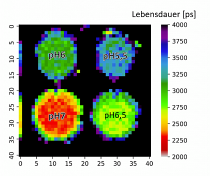 Figure: Lifetime plot of the pH values in a microwell plate 
determined with time resolved fluorescence tomography and pH 
sensitive marker molecules (fluorescein-isothiocyanate